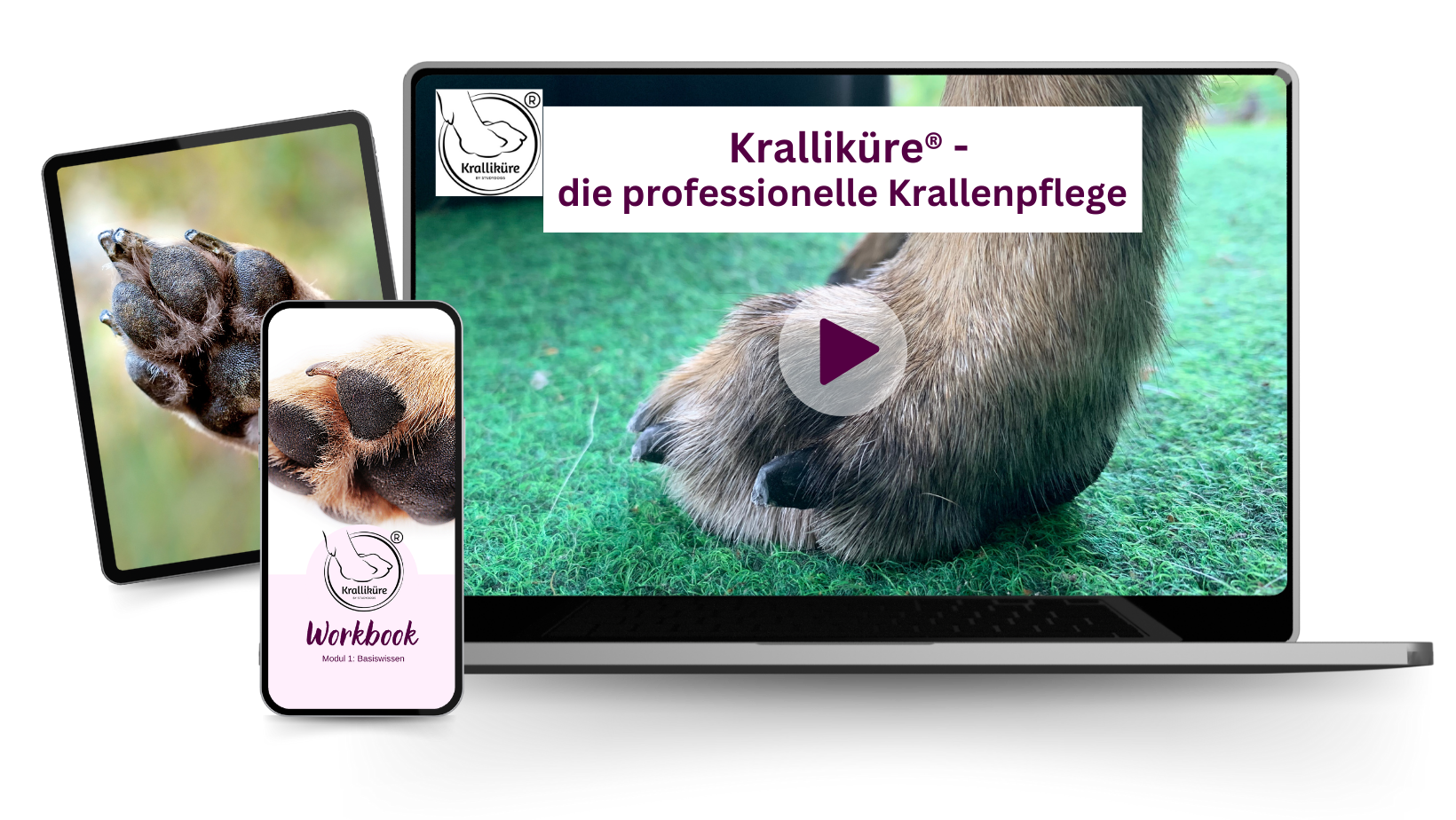 Kralliküre Mockup Landingpage(3)